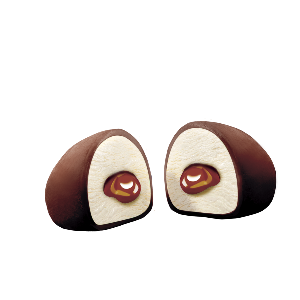 MOOOCHII SOCOLA